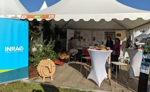 Le stand INRAE au salon Tech & Bio 2021 présente les travaux d'INRAE sur la biodiversité et le climat en lien avec l'agriculture biologique. 