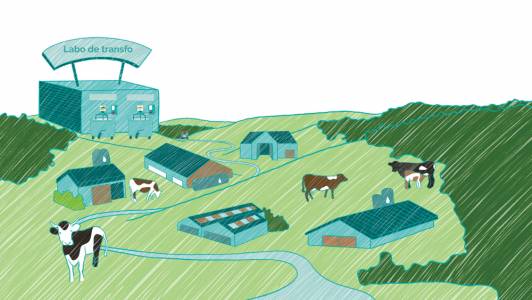 Illustration de vaches au champ avec bâtiments d'élevage et de transformation
