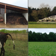 Quatre photos d'exploitations agricoles