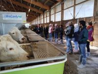 Participants au projet Divanim en visite à unité expérimentale Herbipôle d'INRAE.